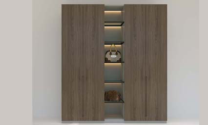 Latest wardrobe Interior Designs